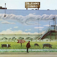 Dr John's Gumbo