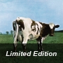 Atom Heart Mother 